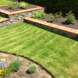 Gazon de Jardin : découvrez les différentes variétés de gazon pour choisir celle qui convient le mieux à votre jardin Poitiers